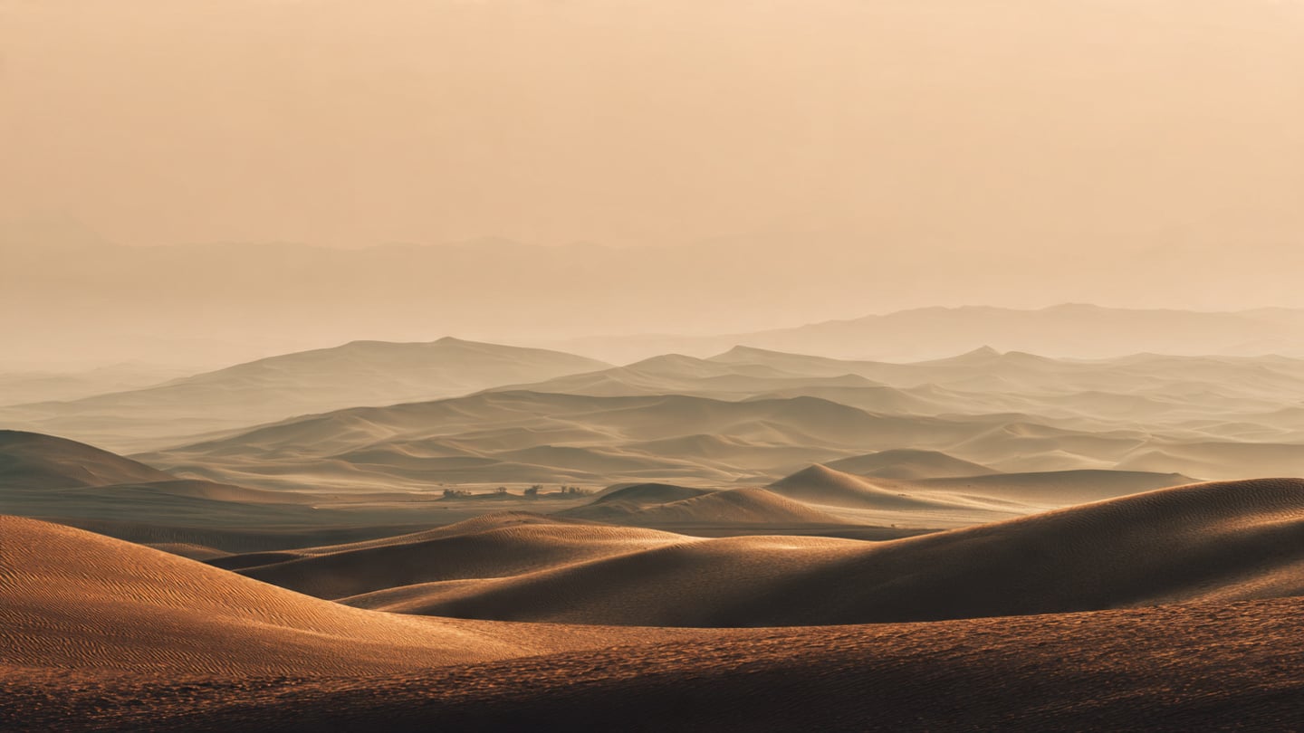 Horizon de dunes dans la brume matinale